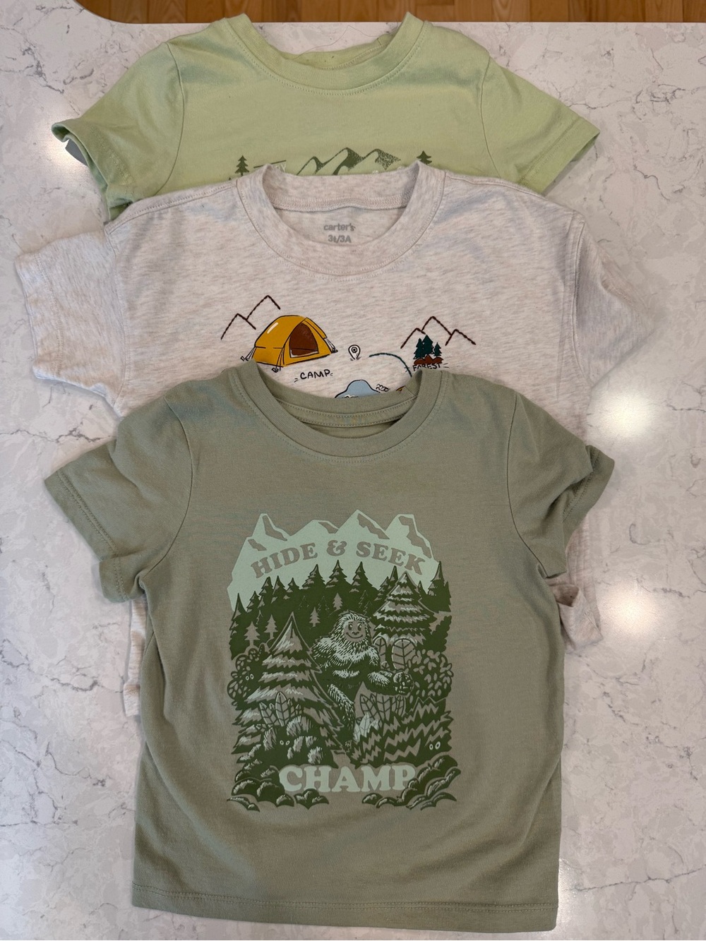 Boys 3T outdoor/camping themed bundle of 3 shirts!
